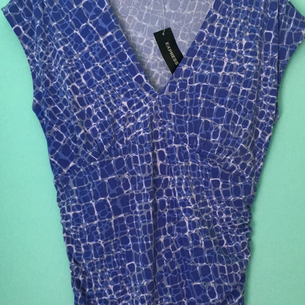 NWT express Work blouse